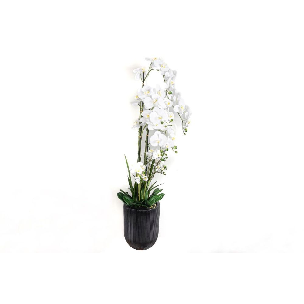 Beyaz çoklu Yapay Orkide 110cm